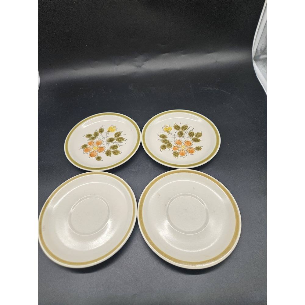 Vintage lot of 2 wild flower stoneware 6 1/2 inch dessert plates & 2 Saucers